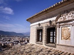 Mula Antigua serie-2